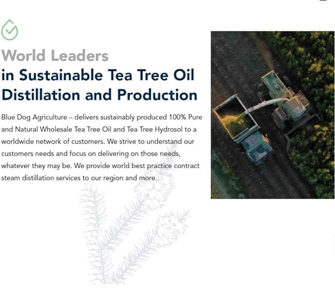 Tea Tree Olie 1x 1000 ml in aluminium fles